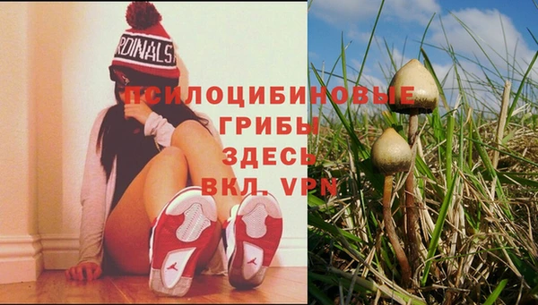 альфа пвп Баксан