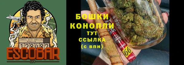 молекула духа Балахна