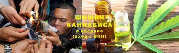 молекула духа Балахна