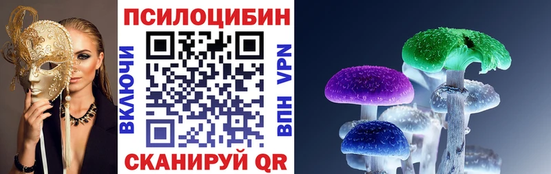 Галлюциногенные грибы Psilocybine cubensis Шарья