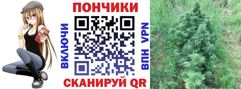 Канабис конопля  Шарья 